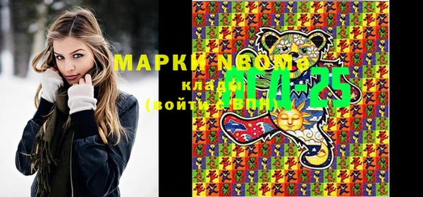 гашик Архангельск