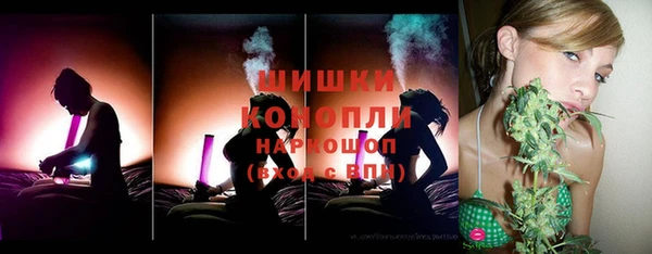 мет Дмитров