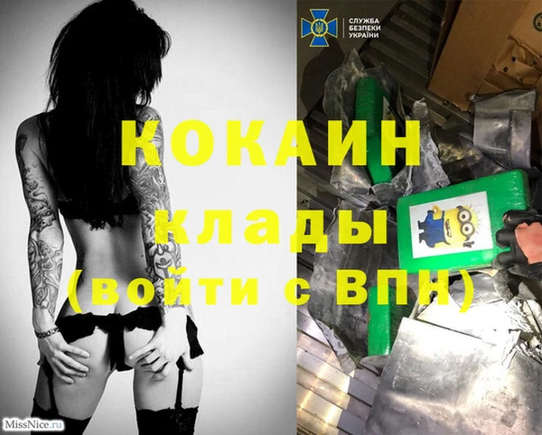 стафф Гусев