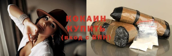 спайс Дмитриев