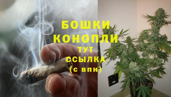 мет Дмитров