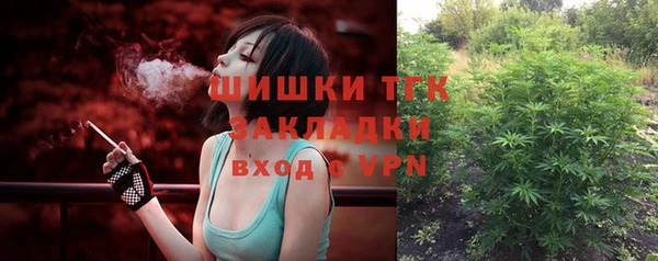 спайс Дмитриев