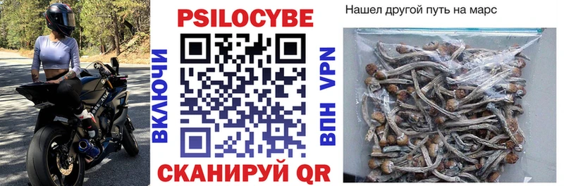 Псилоцибиновые грибы Psilocybe  Купить закладки  Мариинский Посад 